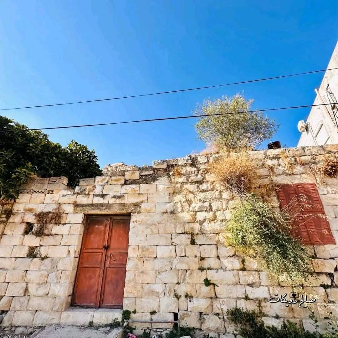 من قرية إجنسنيا شمال غرب نابلس   تصوير صالح دويكات